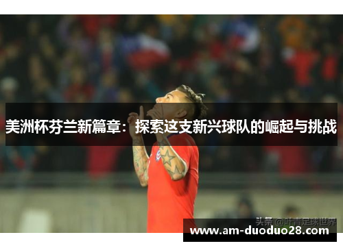 美洲杯芬兰新篇章:探索这支新兴球队的崛起与挑战 美洲杯芬兰新篇章:探索这支新兴球队的崛起与挑战