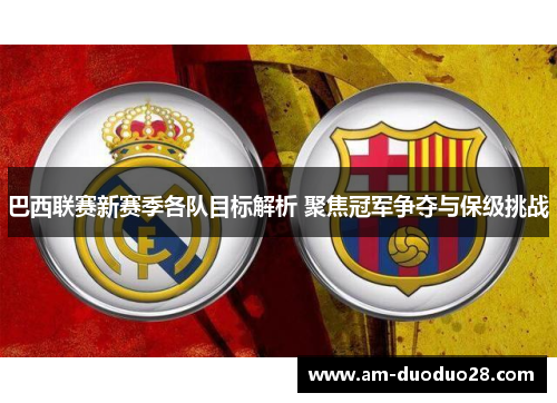 巴西联赛新赛季各队目标解析 聚焦冠军争夺与保级挑战