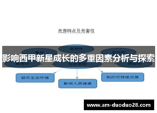 影响西甲新星成长的多重因素分析与探索 影响西甲新星成长的多重因素分析与探索
